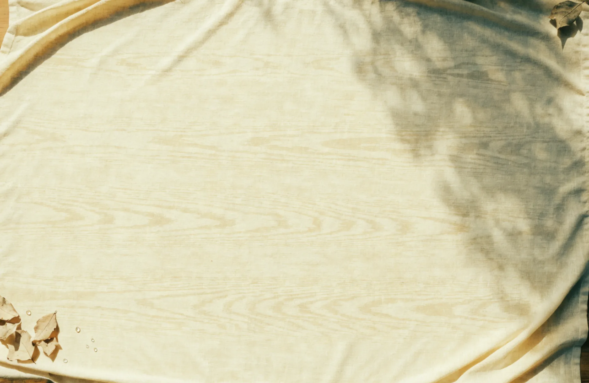 A pale linen cloth, softly creased, with the shadow of leaves across one corner.